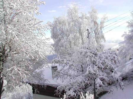 Flocons de neige